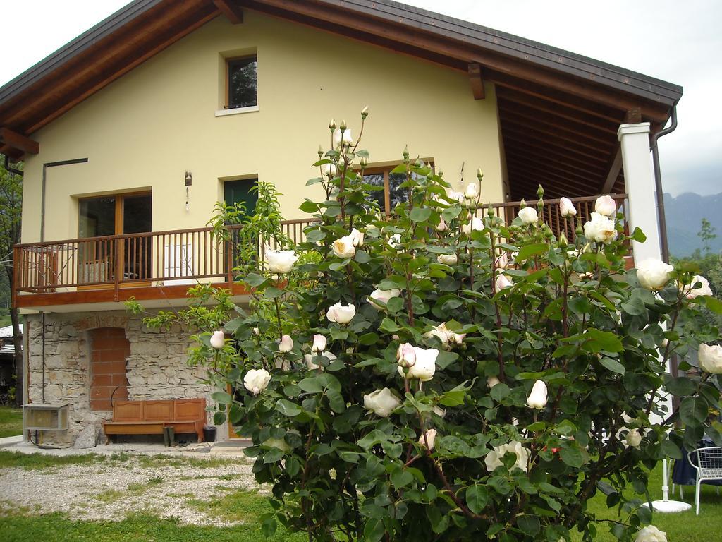Agriturismo Il Girasole フェルトレ エクステリア 写真