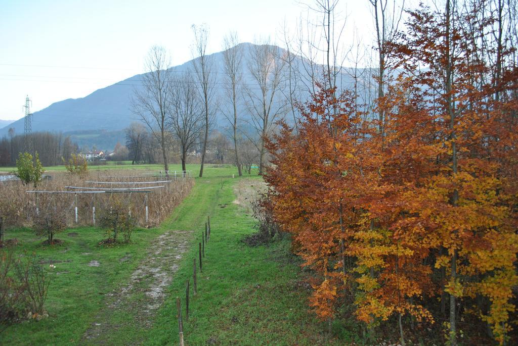 Agriturismo Il Girasole フェルトレ エクステリア 写真